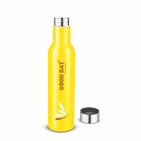 Proton Steel Vacuum Bottle